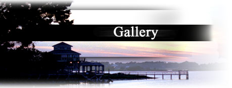 Florida Photo Gallery