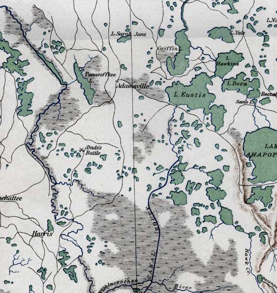 Map of Sumter County, Florida, 1865