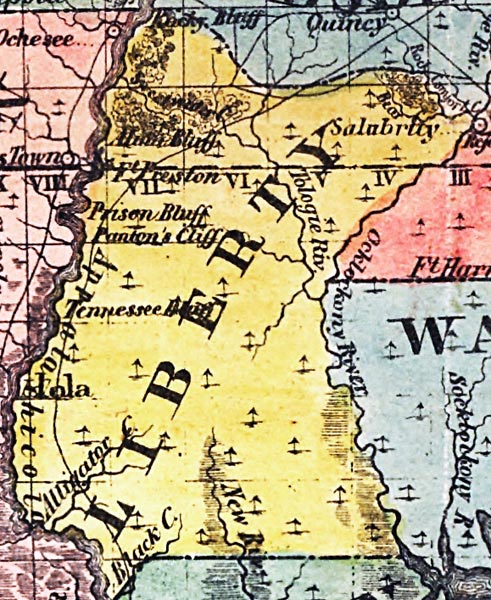 Map of Liberty County, Florida, 1856