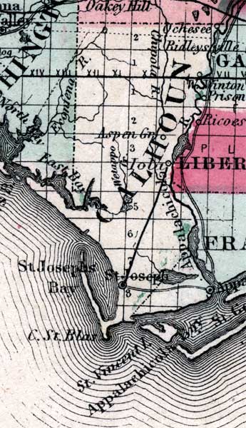 Map of Calhoun County, Florida, 1863