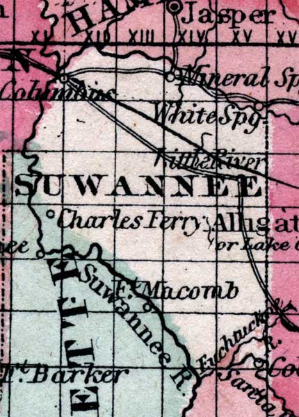 Map of Suwannee County, Florida, 1863