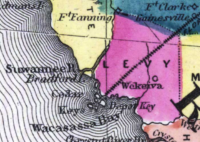 Map of Levy County, Florida, 1873