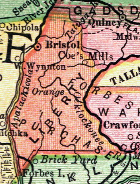 Map of Liberty County, Florida, 1894