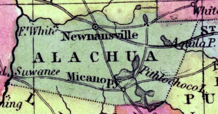 Map of Alachua County, Florida, 1850