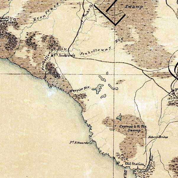 Map of Taylor County, Florida, 1864